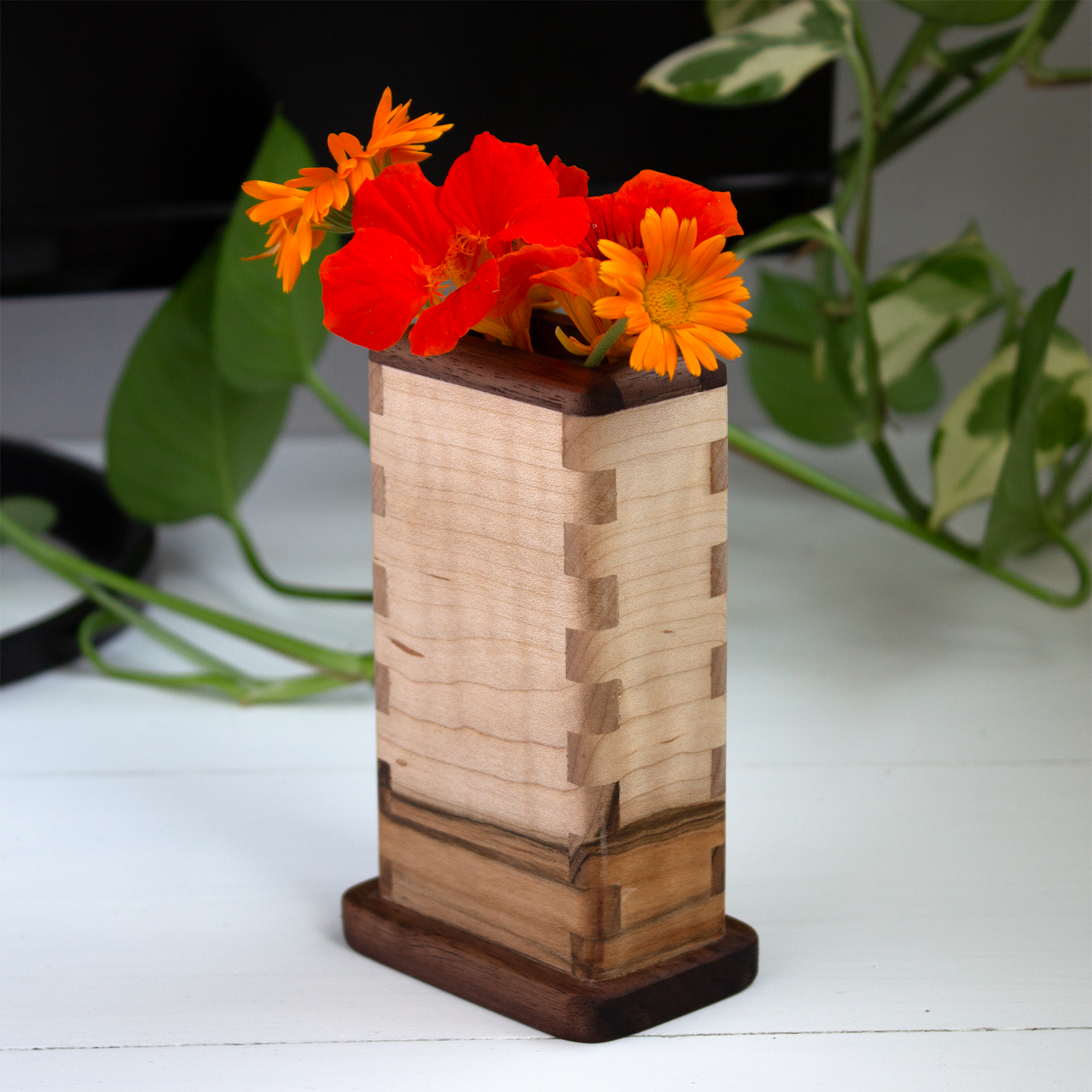 Pencil & Pen Holder