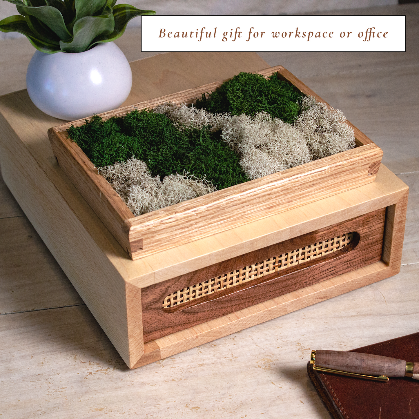 Moss Wall Art - Small Desktop Decor