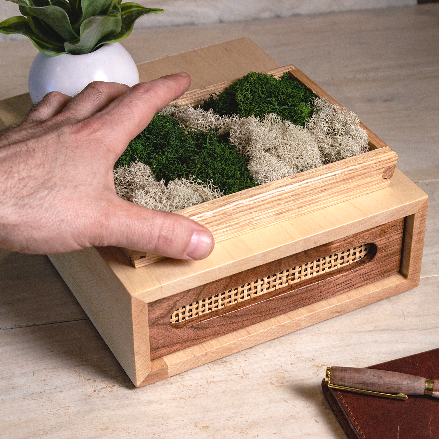 Moss Wall Art - Small Desktop Decor